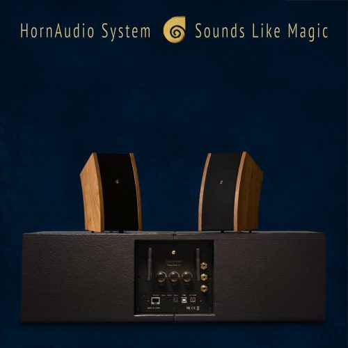 The HornAudio SoRi 2 Sound Set is made especially for you to enjoy the pure sound of Rapalje and all your favorite artists, anywhere. It includes the same speakers used at Rapalje's live concerts, bringing the concert experience into your home.