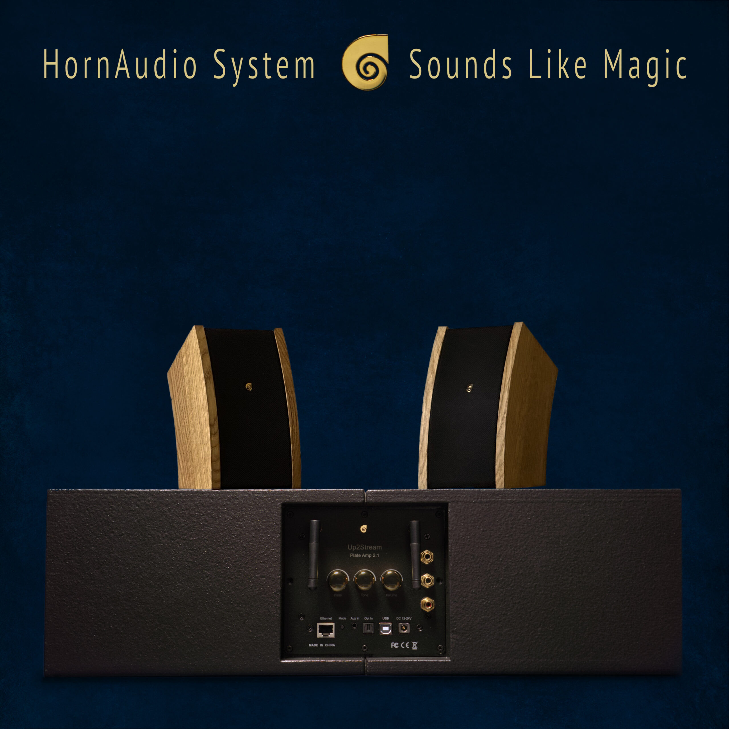 The HornAudio SoRi 2 Sound Set is made especially for you to enjoy the pure sound of Rapalje and all your favorite artists, anywhere. It includes the same speakers used at Rapalje's live concerts, bringing the concert experience into your home.